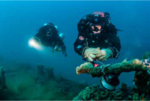2024 TSVÖ Seminar - Wreck Diving Instructor *